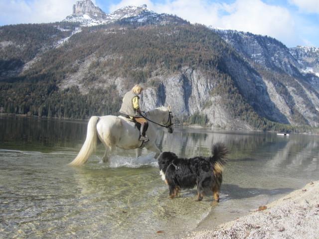 Haus Moser Altaussee Exteriör bild